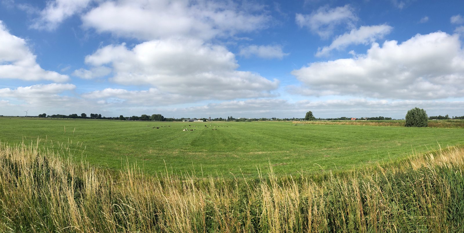 Why Your Panoramas Look Wrong (And How to Fix Them Before You Leave the Field)