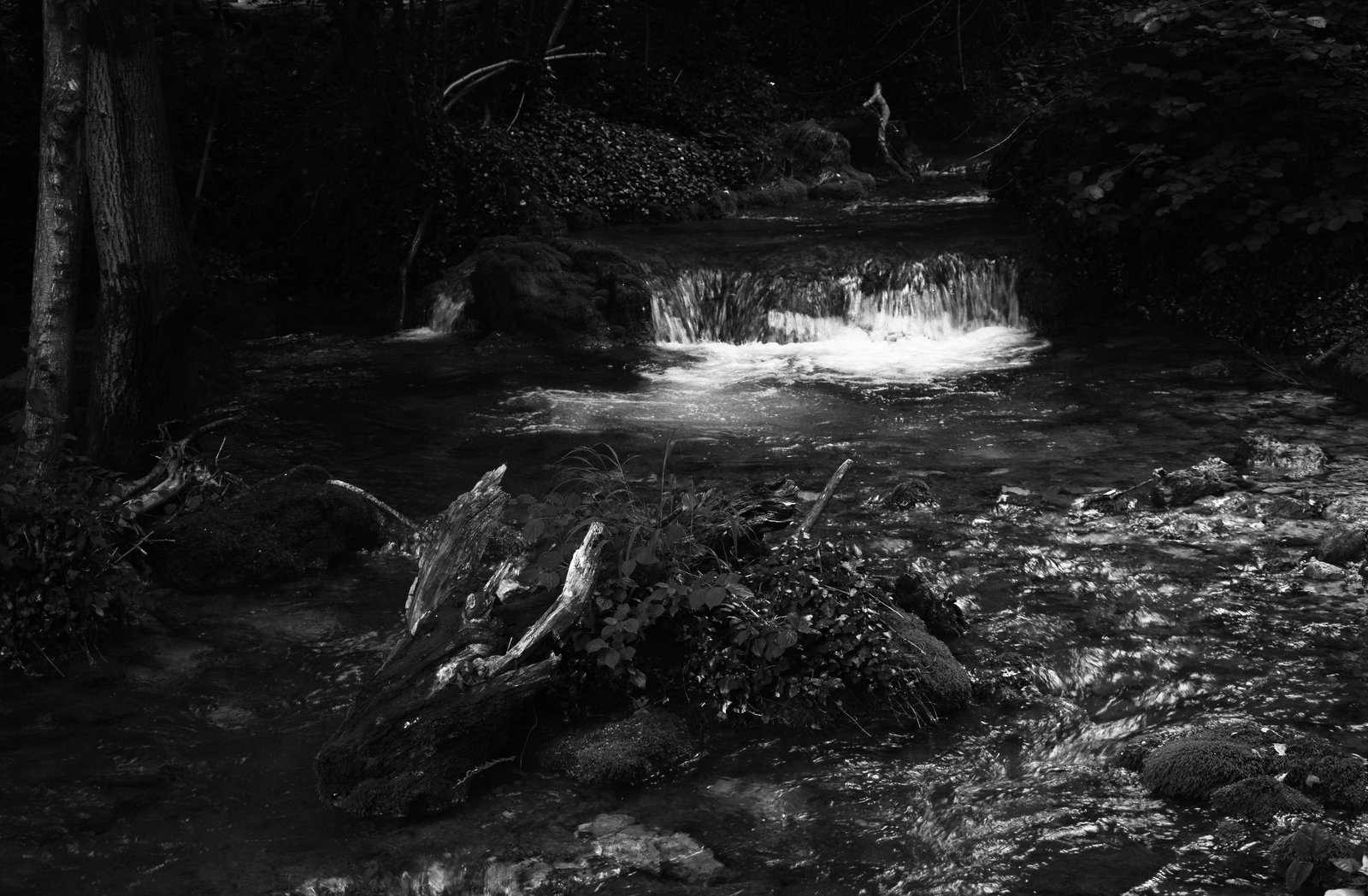 Why Your Waterfall Photos Look Muddy (And How to Fix Them in the Field)